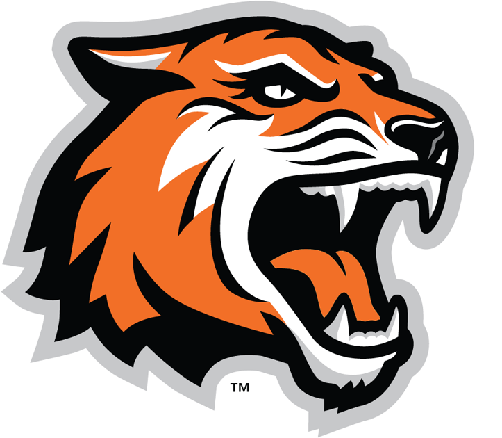 RIT Tigers 2004-Pres Alternate Logo v2 iron on transfers for T-shirts